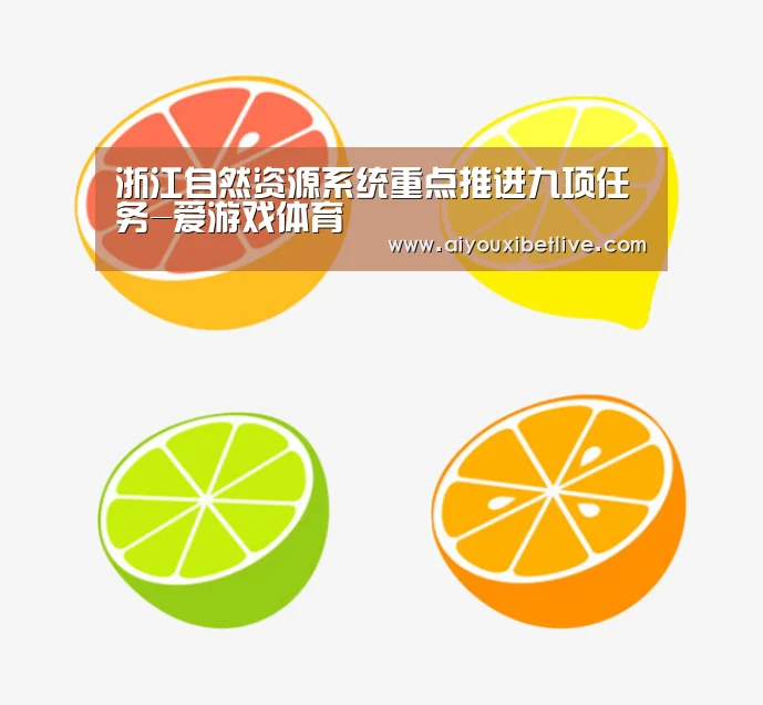浙江自然资源系统重点推进九项任务-爱游戏体育(图2) 爱游戏电竞