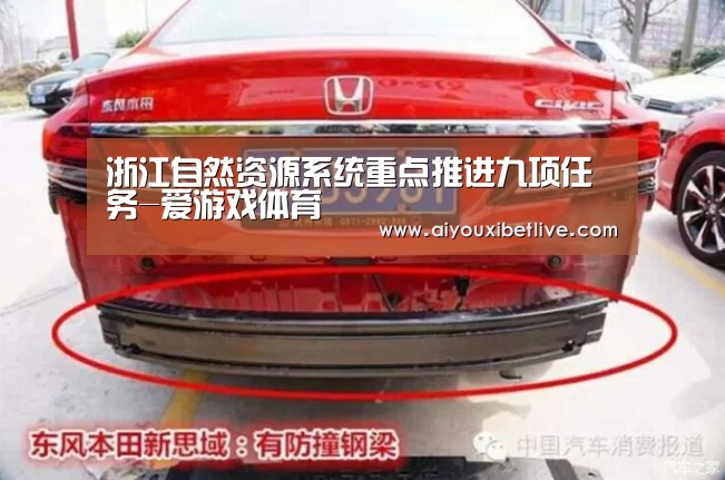 浙江自然资源系统重点推进九项任务-爱游戏体育(图1) 爱游戏电竞