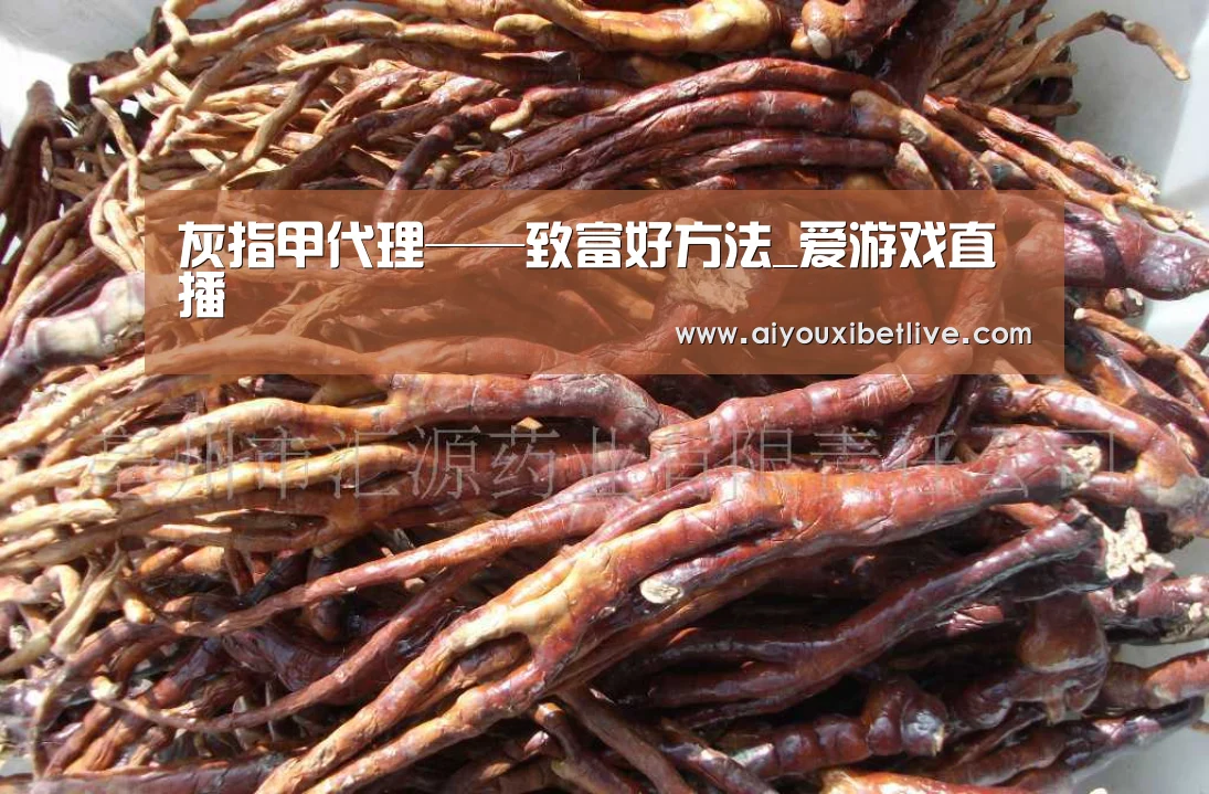 灰指甲代理——致富好方法_爱游戏直播(图2) 爱游戏电竞