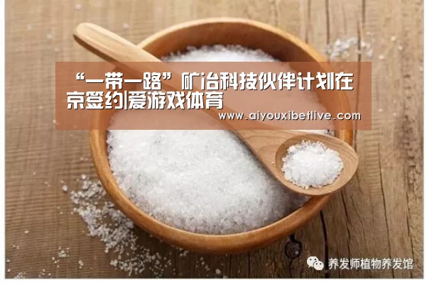 “一带一路”矿冶科技伙伴计划在京签约|爱游戏体育(图2) 爱游戏电竞