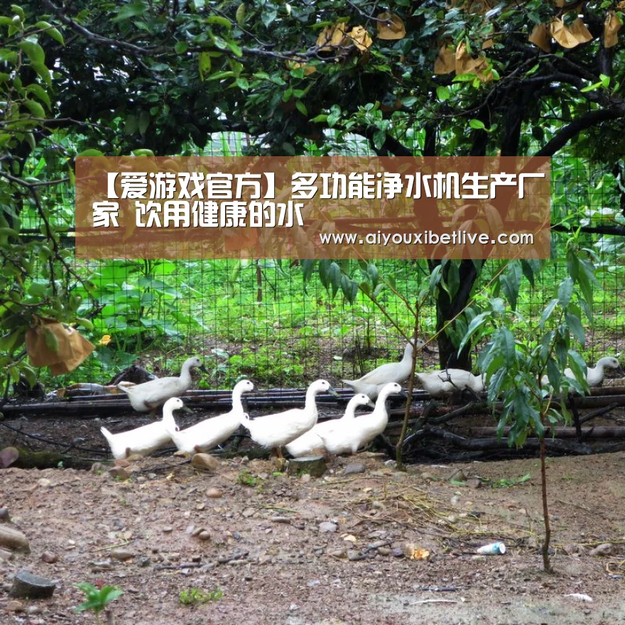 【爱游戏官方】多功能净水机生产厂家 饮用健康的水(图1) 爱游戏体育