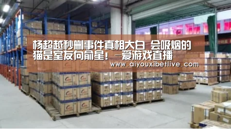 杨超越秒删事件真相大白 会吸烟的猫是室友向俞星!-爱游戏直播(图1) 爱游戏官方