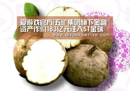 爱游戏体育